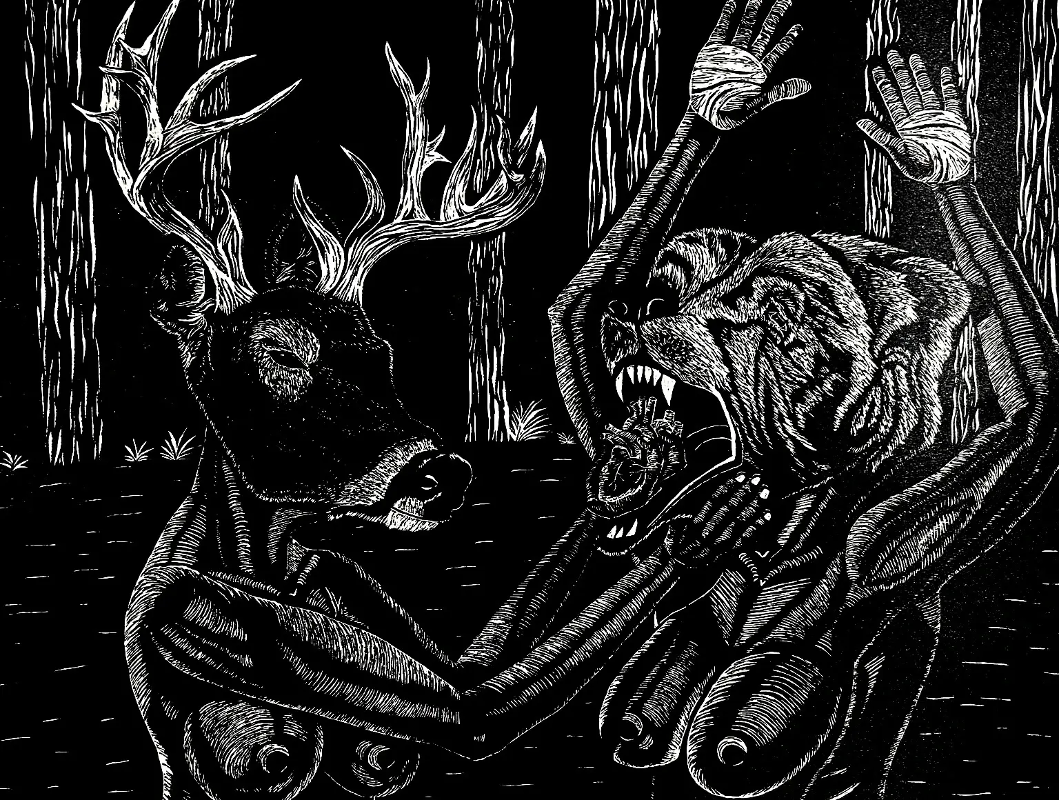 Black and White Forest Encounter