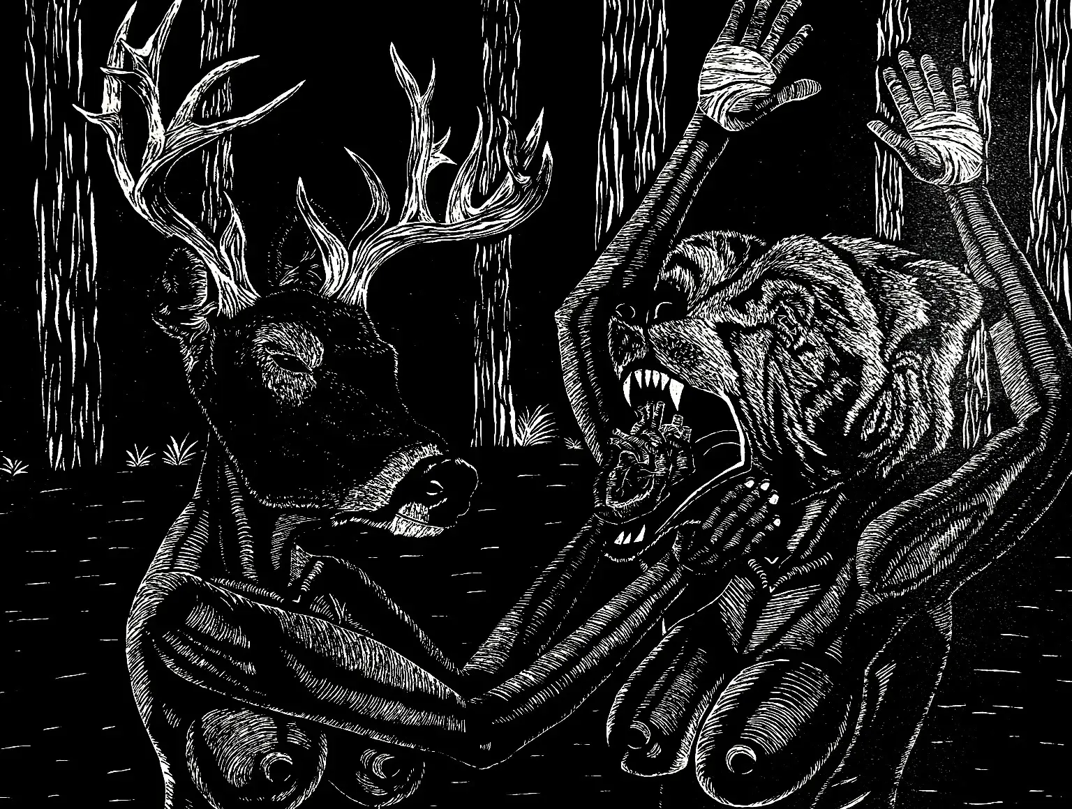 Black and White Forest Encounter